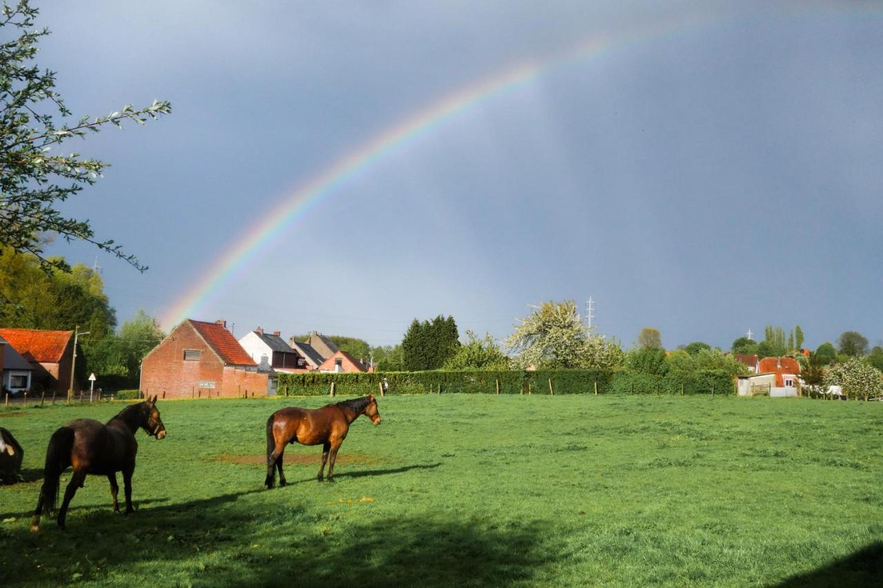 Leuze-en-Hainaut Gite Rural Les Petites Tetes מראה חיצוני תמונה