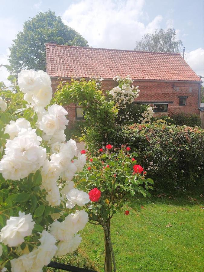 Leuze-en-Hainaut Gite Rural Les Petites Tetes מראה חיצוני תמונה
